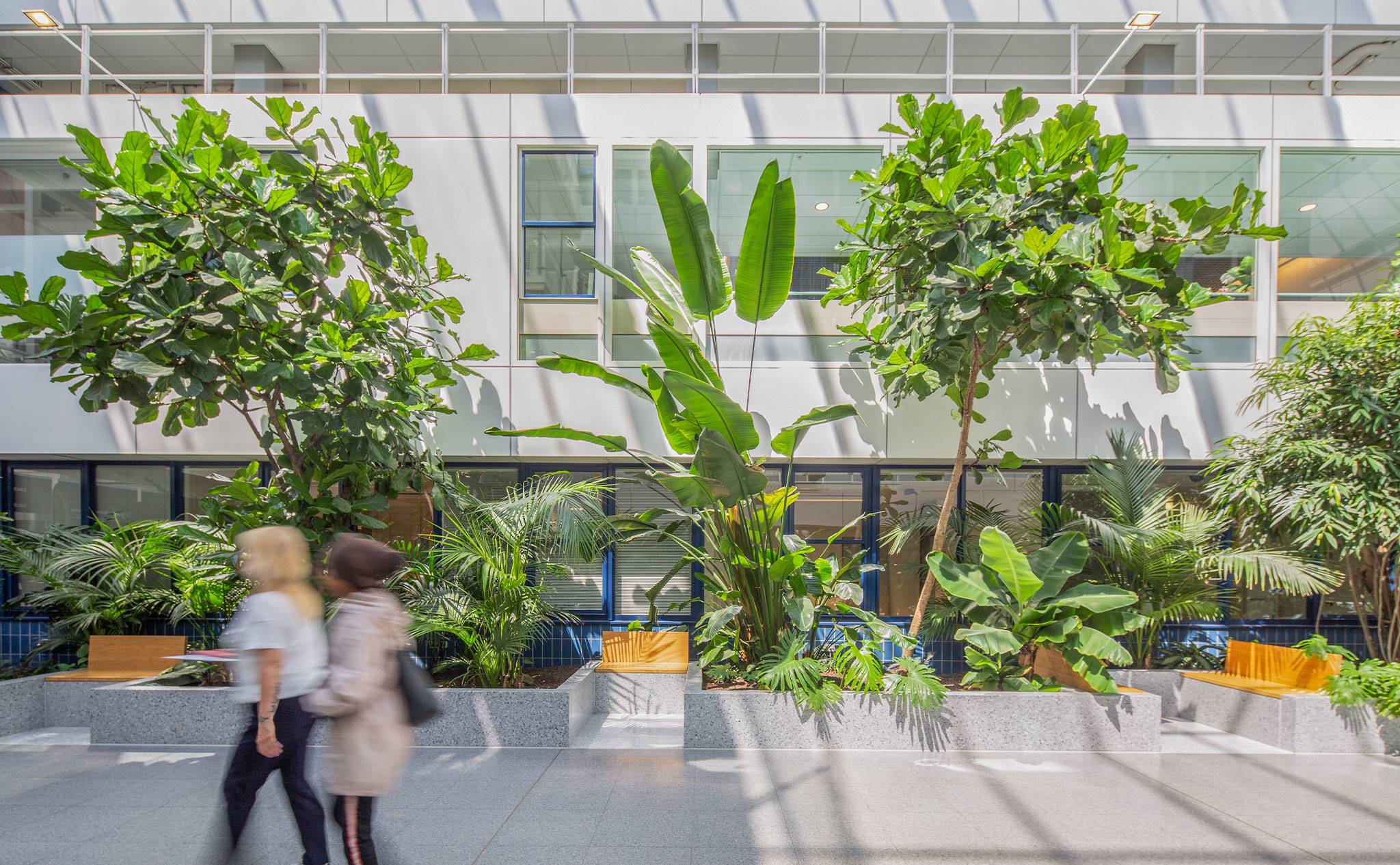 Dijklander Ziekenhuis, Purmerend - De diversiteit aan planten in dit ziekenhuis vraagt om een op maat gemaakt groenplan.