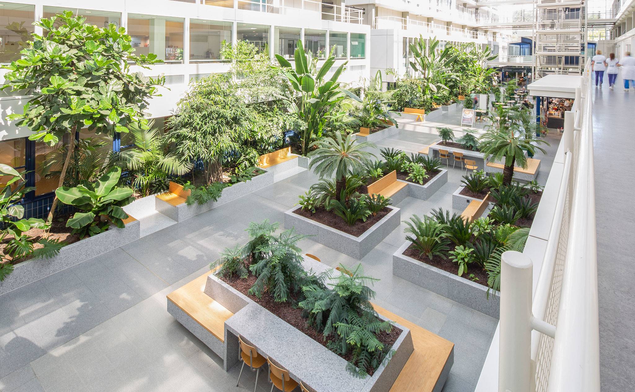 Dijklander Ziekenhuis, Purmerend - Wij onderhouden de binnenbeplanting van dit ziekenhuis om de planten zo vitaal en gezond mogelijk te houden.