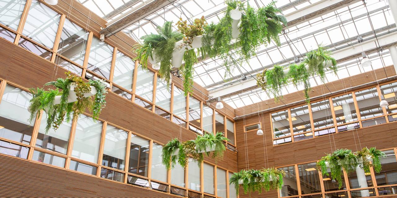 Hogeschool van Amsterdam, Fraijlemaborg - De verticale beplanting in deze school zorgt ervoor dat er vloeroppervlakte bespaart wordt. 