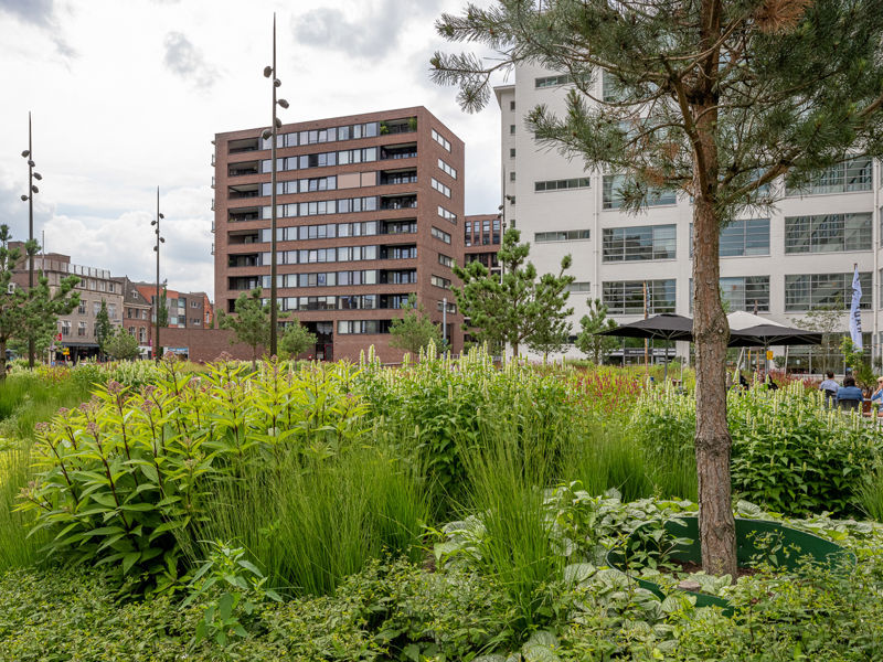 Clausplein Eindhoven (60)