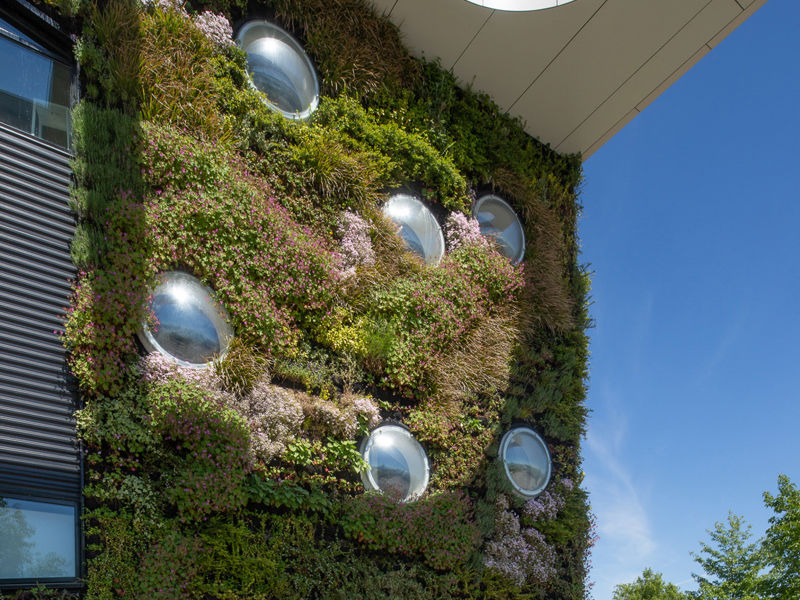 NHL Stenden Hogeschool Leeuwarden (5)