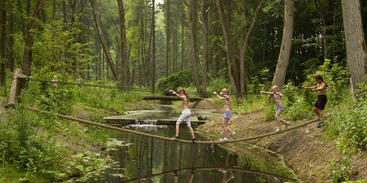 Belevenissenbos, Lelystad - Voor het Staatsbosbeheer realiseerden wij dit openbare belevenissenbos gericht op avontuurlijk spelen