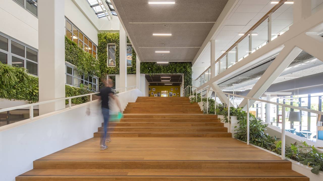 Project NHL Stenden - De aantrekkelijke en bijzondere groenelementen dragen in combinatie met de architectuur bij aan een prettig en positief studie- en werkklimaat voor de studenten, medewerkers en bezoekers.