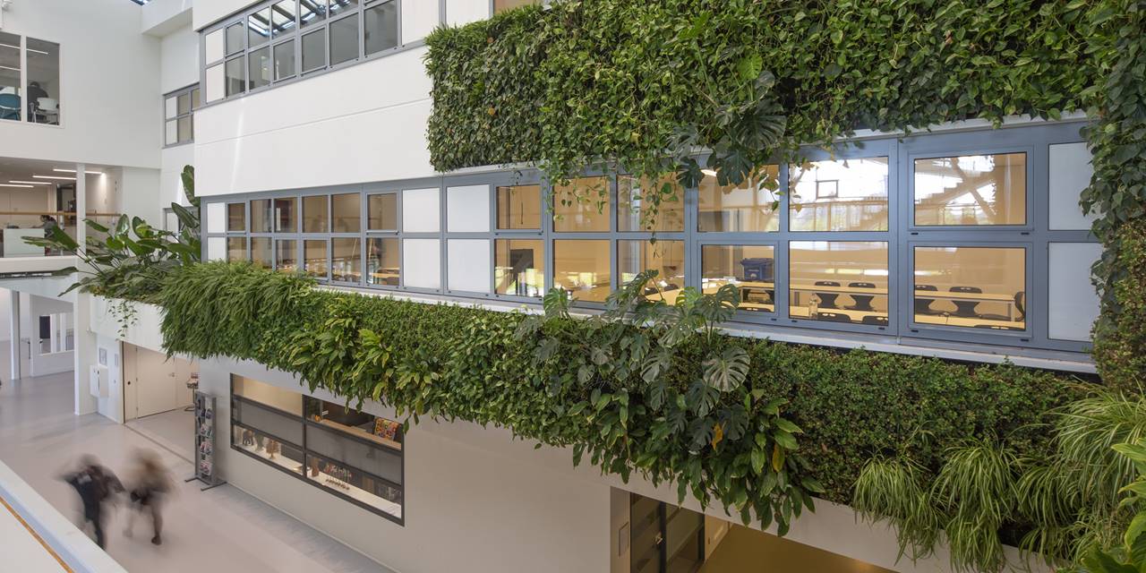 Verticale plantenwand - Voor NHL Stenden Hogeschool onder andere een plantenwand van Green Fortune gerealiseerd. 