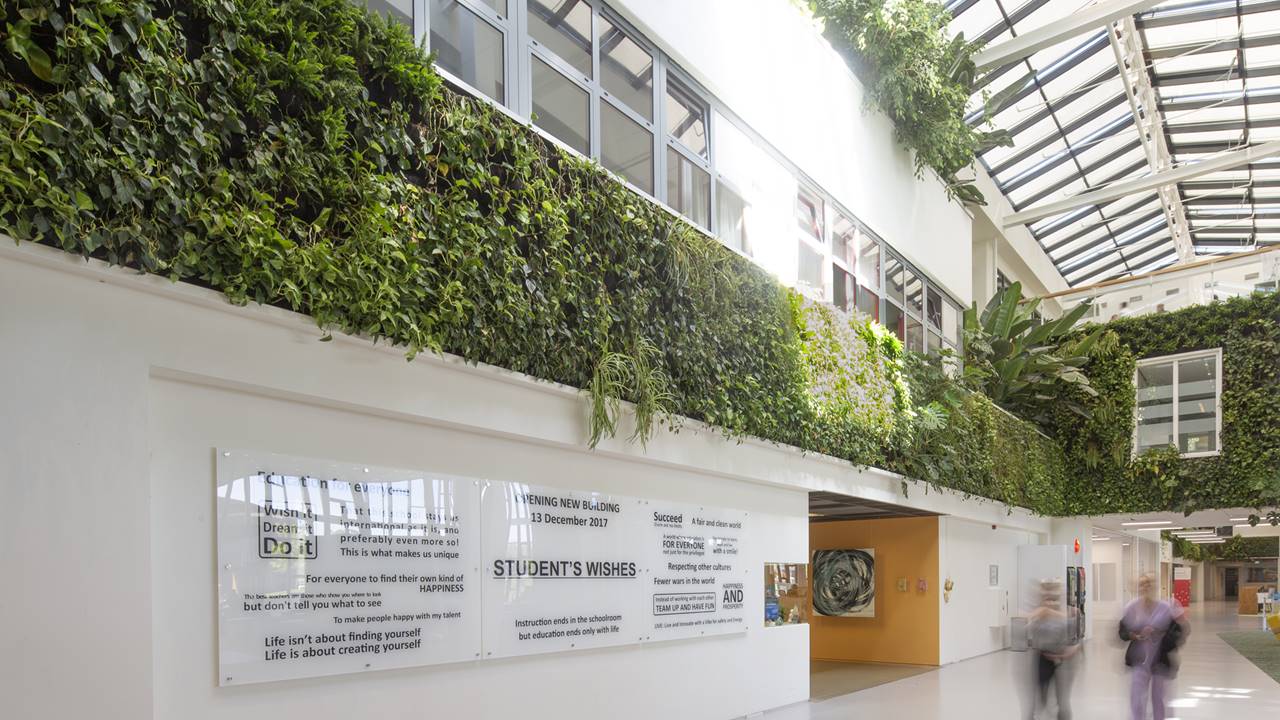 Project NHL Stenden - Onze plantverzorgers van Donker Interieur onderhouden tot op heden al de bijzondere groenelementen op de hogeschool