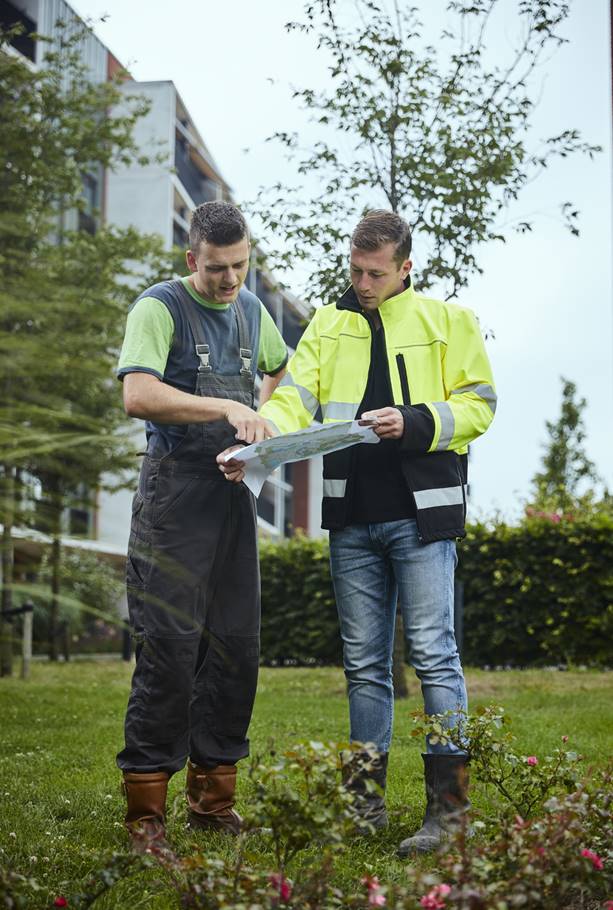 European Tree Workers voeren boomkeuring uit volgens de VTA-methode