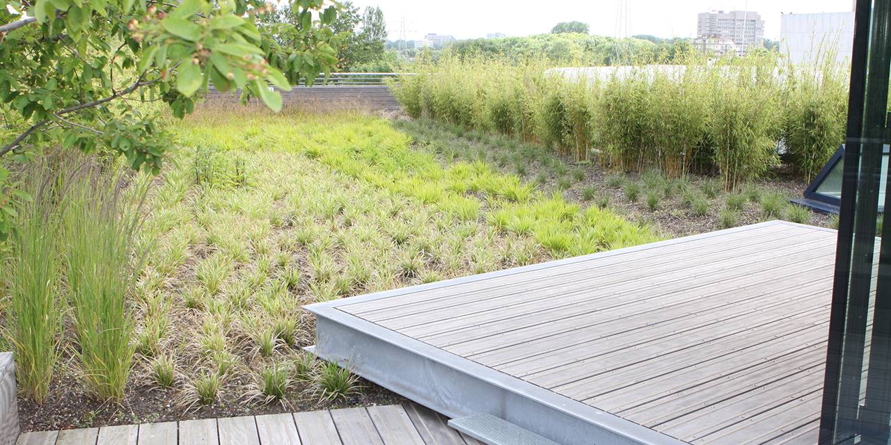 Aegon, Den Haag - Op basis van frequentie verzorgen wij het groen van deze prachtige daktuin
