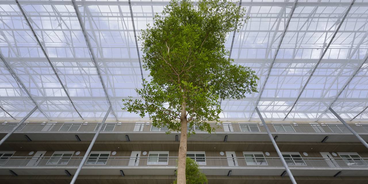 Futura Zoetermeer - Positionering van de hoge bomen
