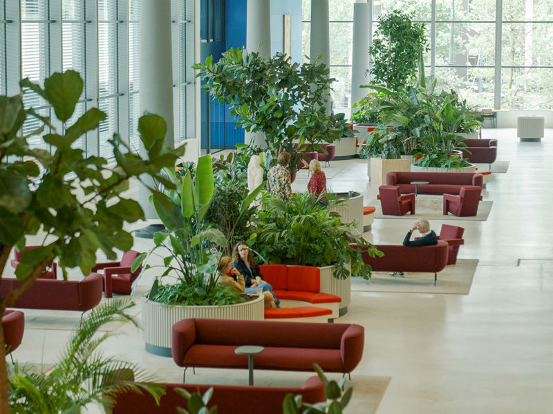medewerker van donker groen bereid boom voor op verplanting