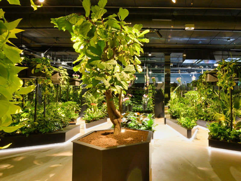 Floriworld Aalsmeer (81)