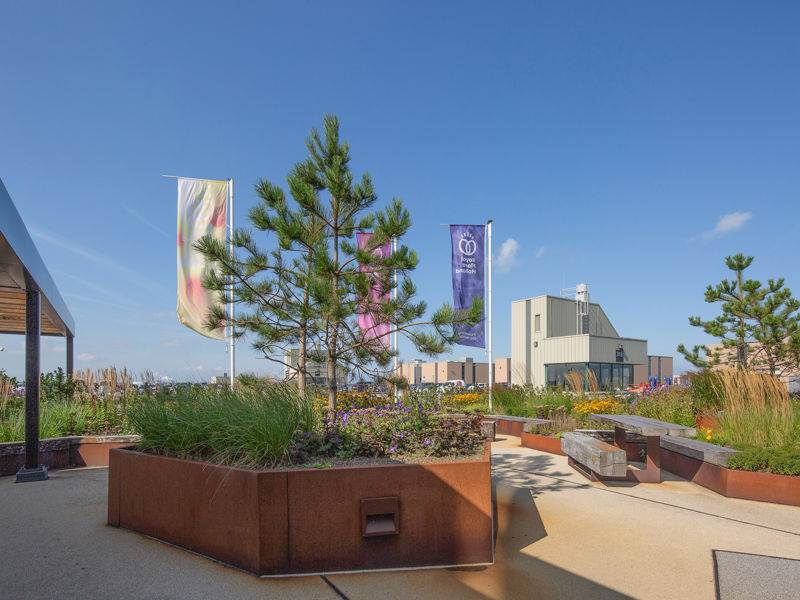 Royal Floraholland Naaldwijk (18) 2