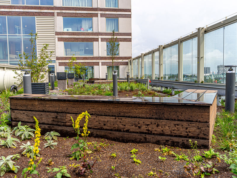 Amsterdam Fibonacci (2)