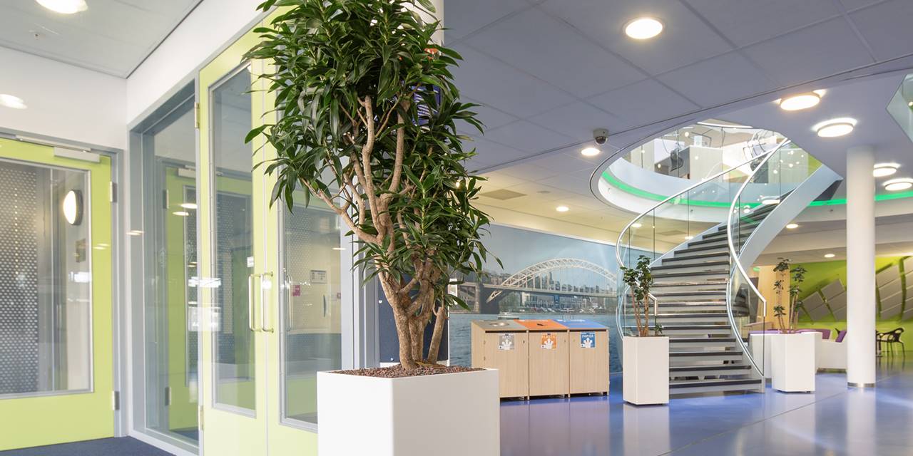 Hogeschool (HAN), Arnhem en Nijmegen - Groen zorgt voor een beter binnenklimaat in scholen.
