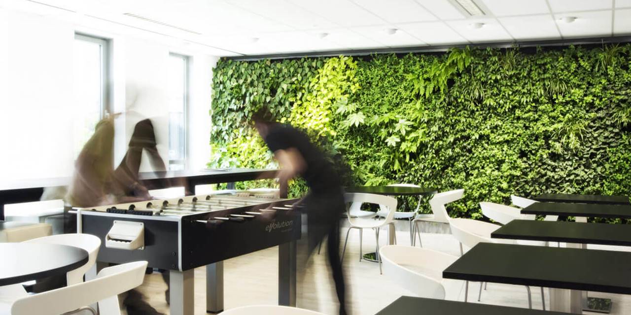 Leafs only look - Het Green Fortune plantentextiel is speciaal ontworpen om een natuurlijke groene muur te creëren waarin alleen de planten zichtbaar zijn.