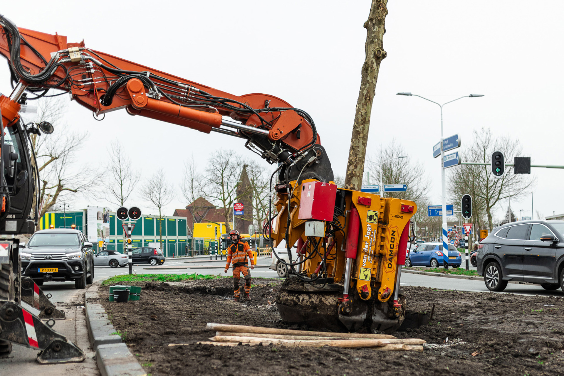 Boomverplantingutrecht 1