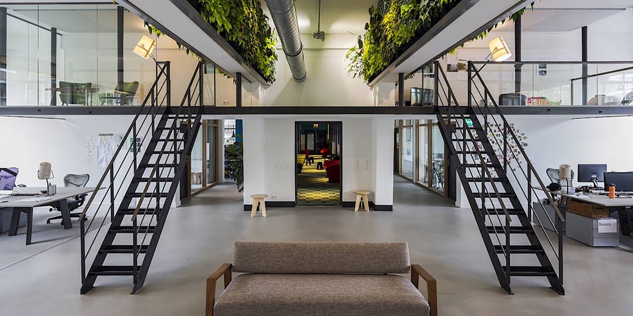 Met een plantenwand brengt u het gezonde buitengevoel naar binnen en upgrade op die manier uw kantoor, restaurant of hotel.