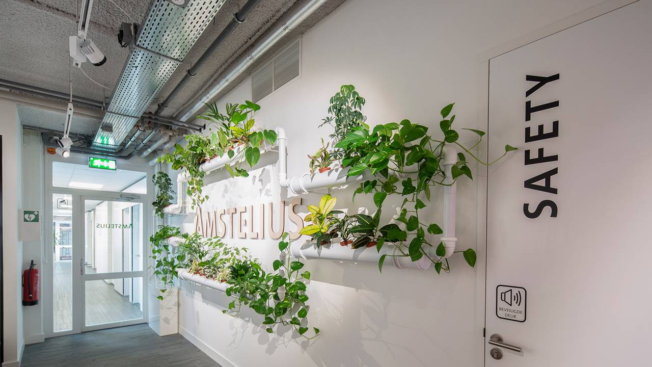Amstelius, Amsterdam - Een tubegarden is een unieke industriële plantenwand voor planten en kruiden.