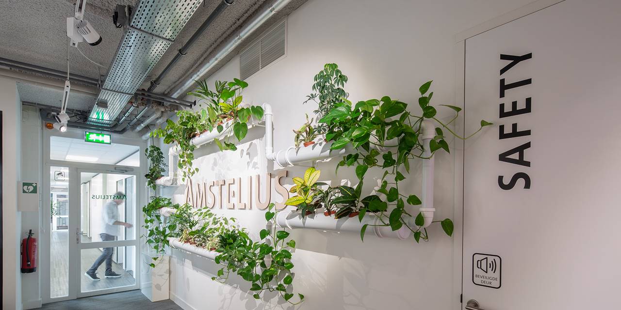Met deze groene oplossing creëren we nieuwe en gevarieerde mogelijkheden om planten binnen toe te passen