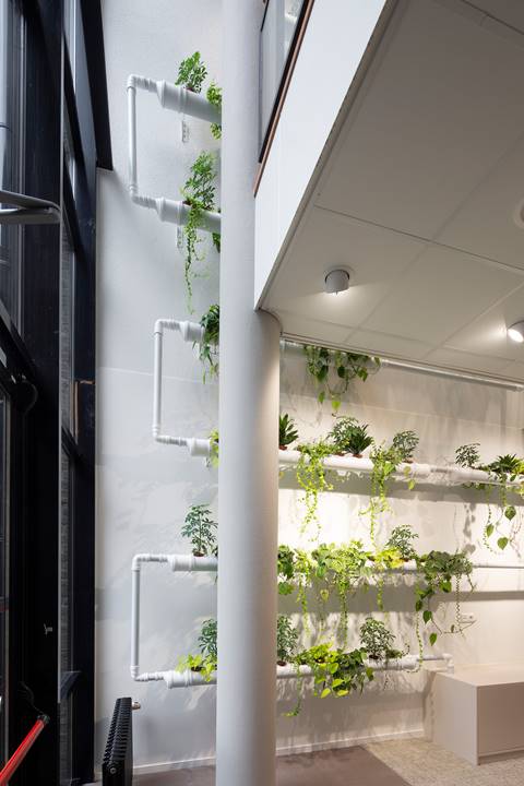 Project Amstelius - Een Tubegarden geeft u grote aantallen planten zonder verlies van vloeroppervlak