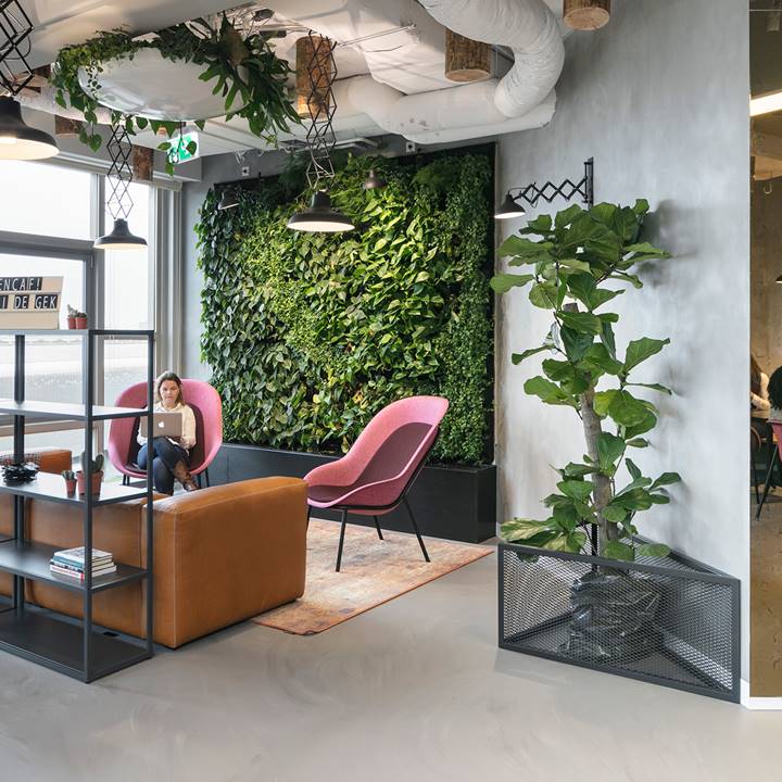 Interieurbeplanting en verticaal groen voor kantoren
