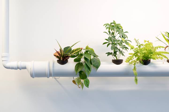 Project CIC - Een Tubegarden geeft u grote aantallen planten zonder verlies van vloeroppervlak