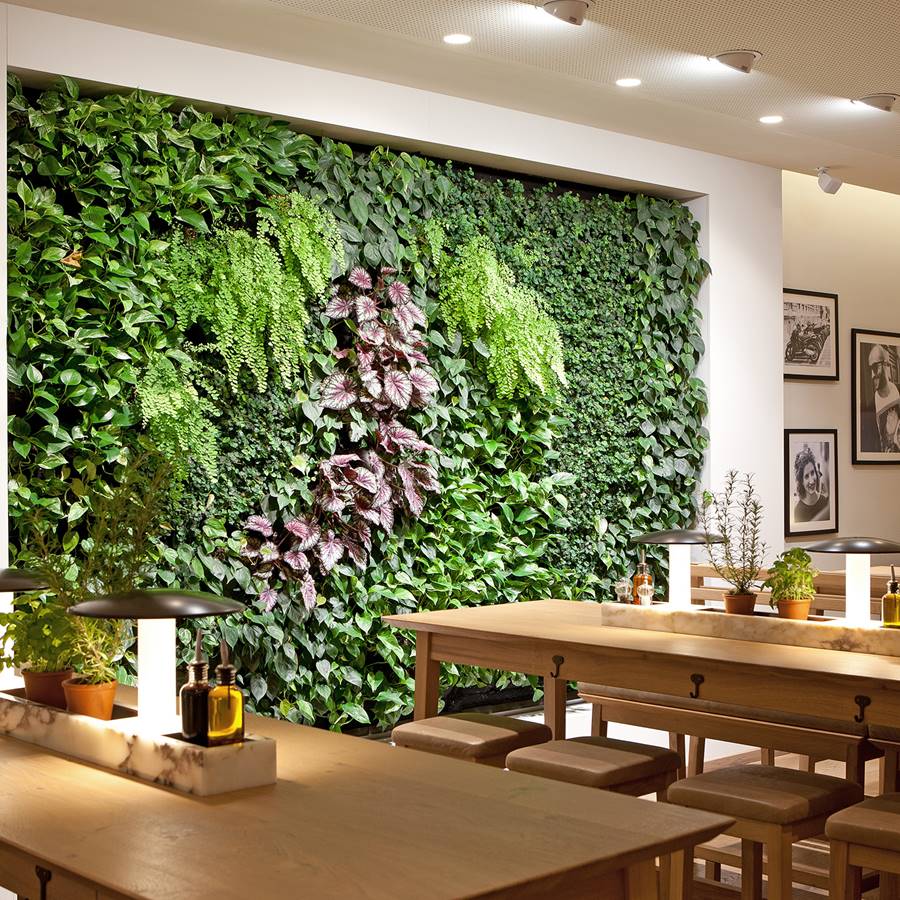 Green Fortune Project Vapiano 3