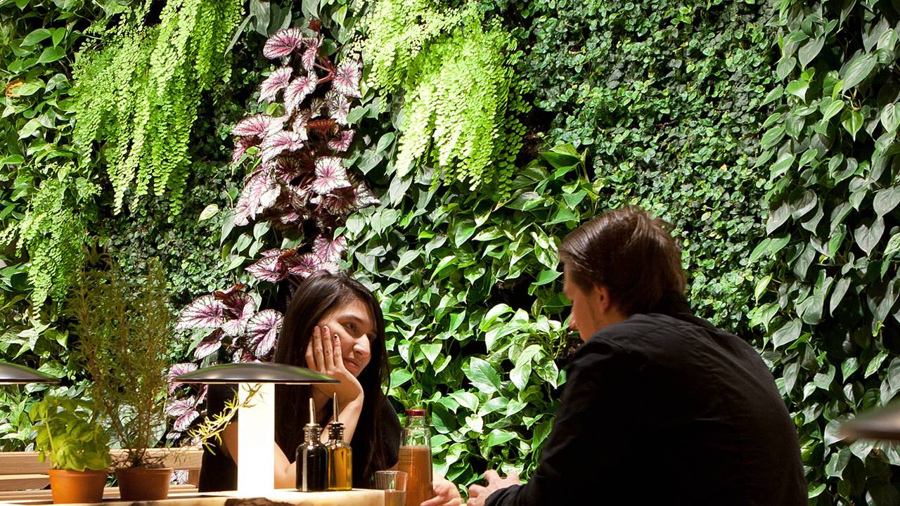 Vapiano. Tilburg - Integratie van de plantenwand met de rest van het restaurant.