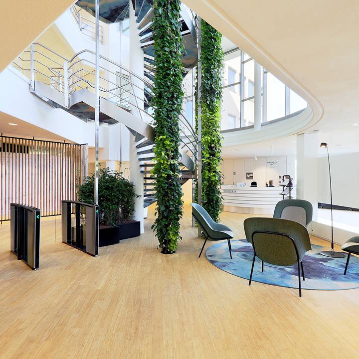 Plantwires in een kantoor in Lelystad