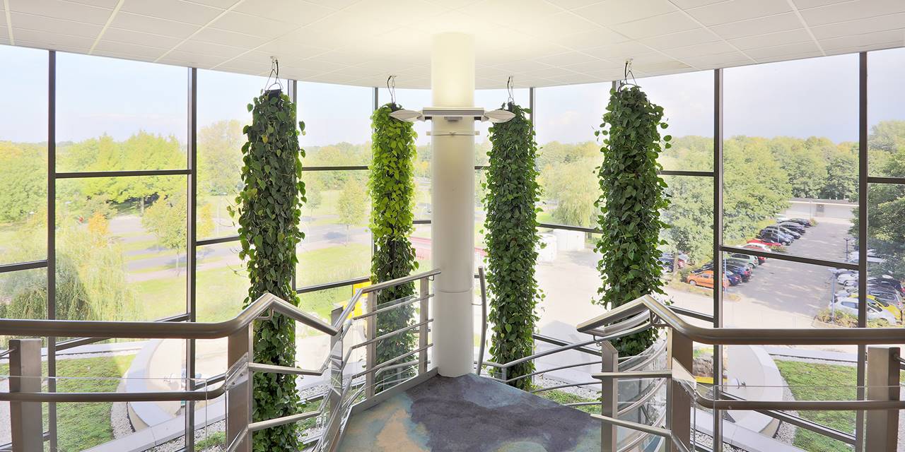 Deze plantstalagmite dient als verbindende factor tussen de verdiepingen van dit kantoor in Lelystad. 