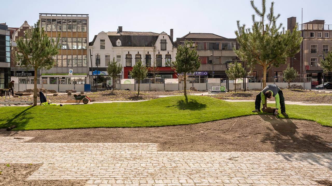 Project Clausplein - Van een vrijwel volledig versteend plein naar een groene, duurzame plek waar je wil verblijven