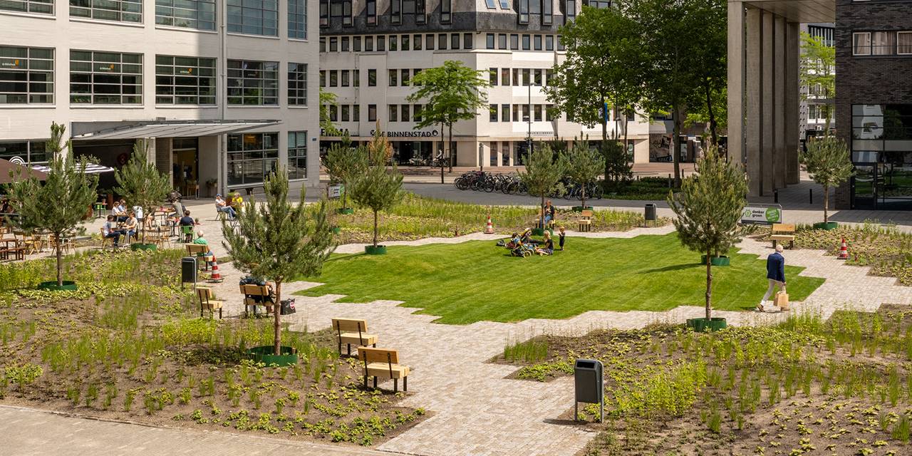 Project Clausplein Eindhoven - Van volledig versteend plein met extreme temperaturen naar een groene, duurzame plek waar je wil verblijven.