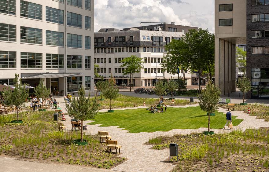 Project Clausplein - Een groen plein waar het fijn verblijven is