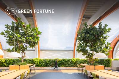 Green Fortune - Verticaal groen