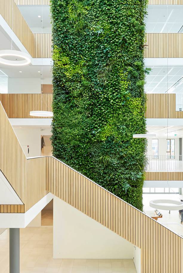 Deze plantenwand heeft een positief effect op het werkklimaat in het SHARE kantoor in hoofddorp