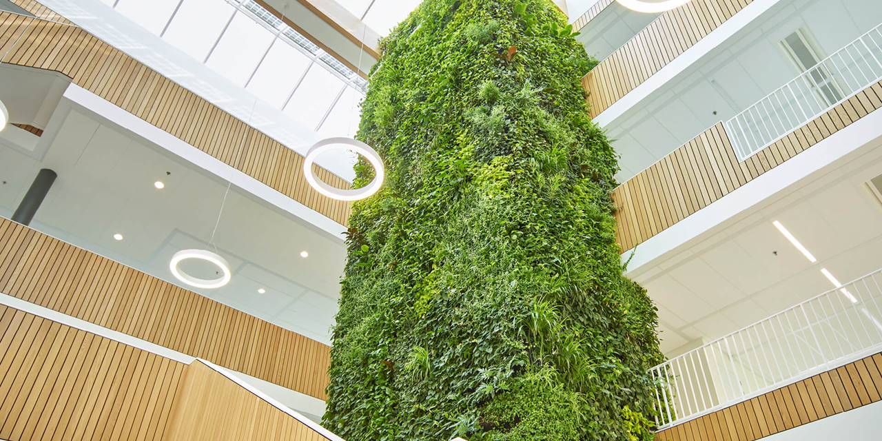 SHARE, Hoofddorp - Deze plantenwand verhoogt de productiviteit op een positieve manier.