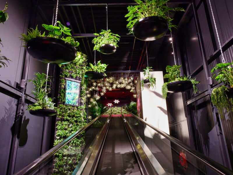 Floriworld Aalsmeer (75)