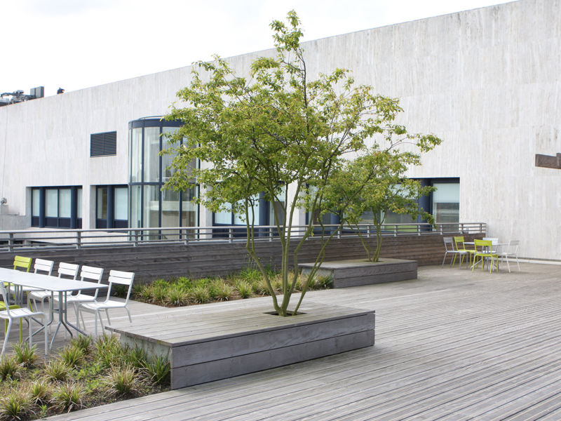 Aegon Den Haag (11)