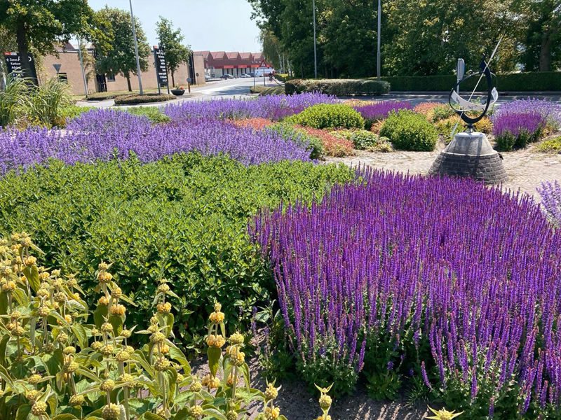 Royal Floraholland Aanleg (6)