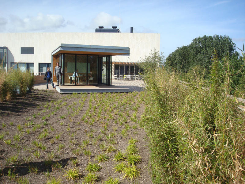 Aegon Den Haag (1)