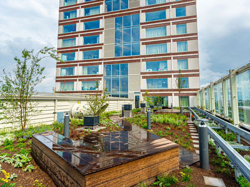 Amsterdam Fibonacci (15)