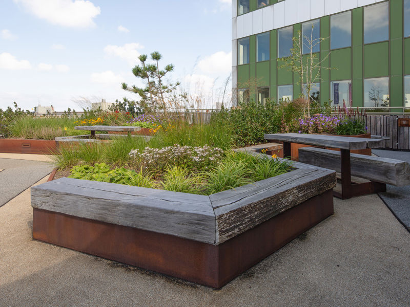 Planten op de daktuin van Royal FloraHolland in Naaldwijk
