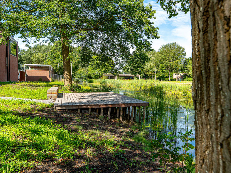 Alliander Leeuwarden (13)