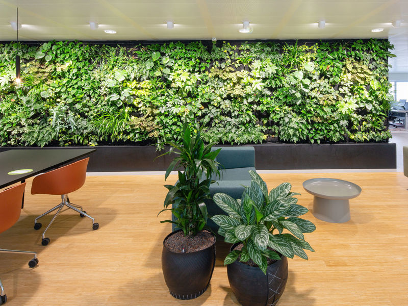 Royal Flora Aalsmeer (29)