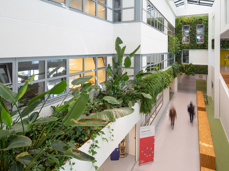 NHL Stenden Hogeschool Leeuwarden (15)