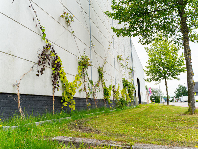 Groningen Euvelgunne (10)