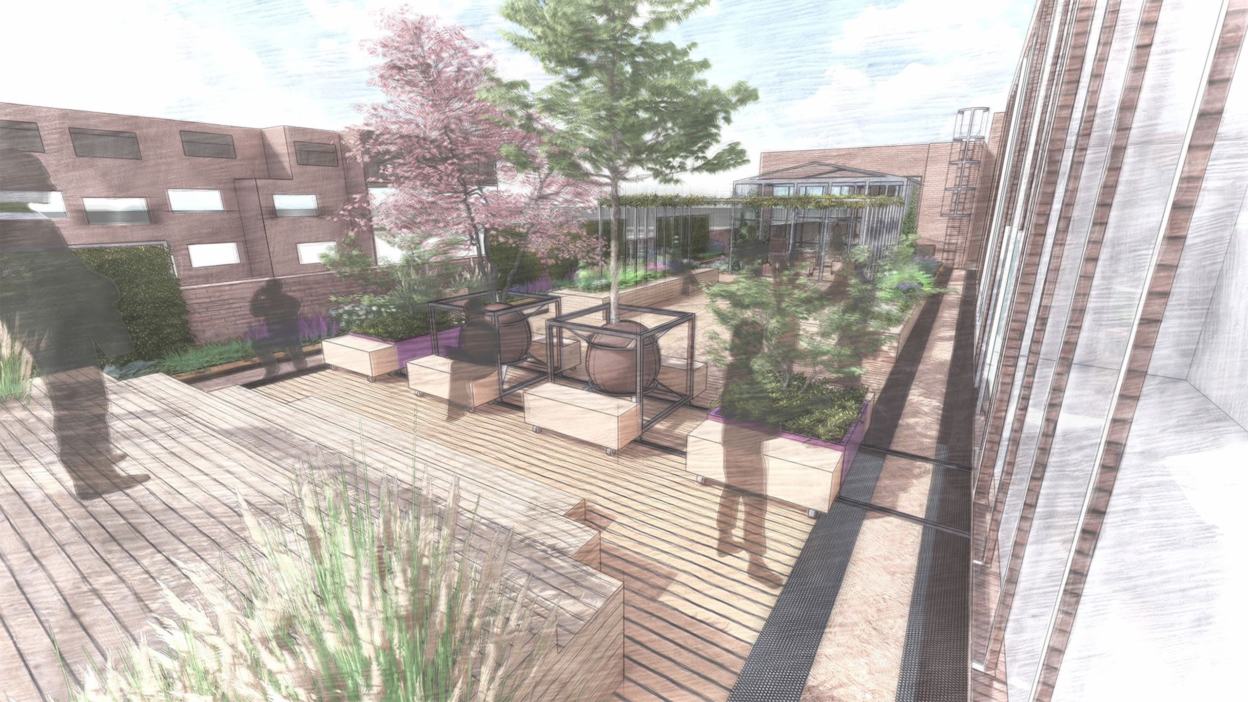 Coda Uitvoerend Ontwerp