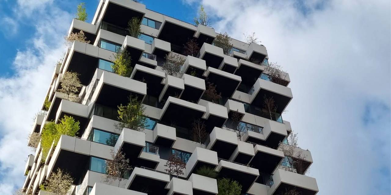 Trudo Toren, Eindhoven - Voor dit gebouw ontwikkelde BVB een speciaal substraat met extra hoge haakbaarheid voor de beworteling van de bomen.