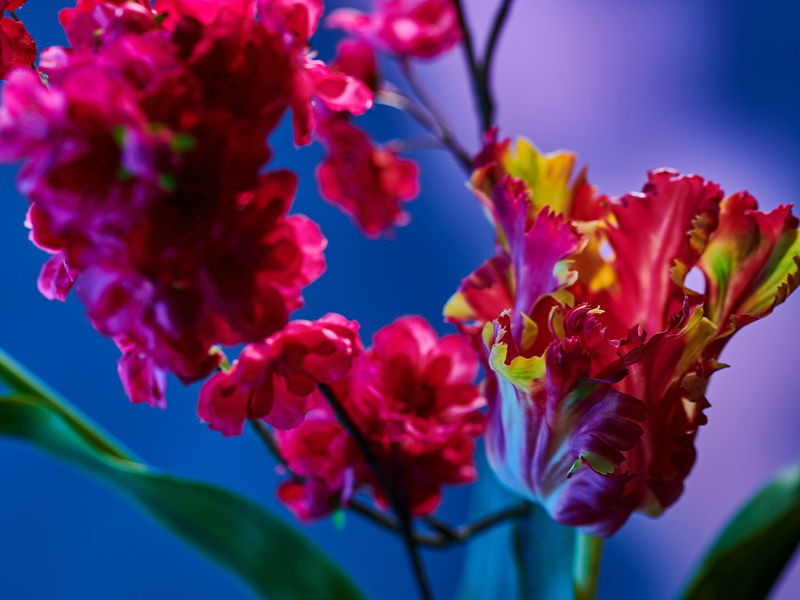 Kunstbloemen LCA (1)