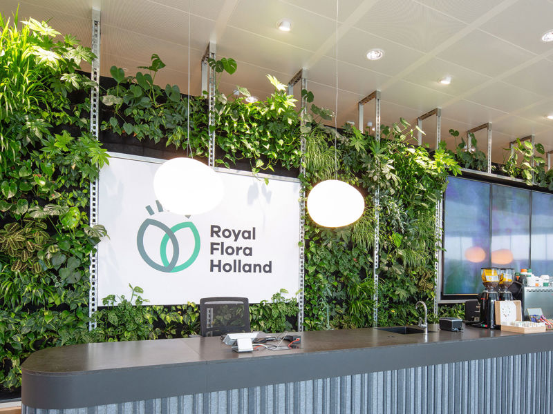 Royal Flora Aalsmeer (8)