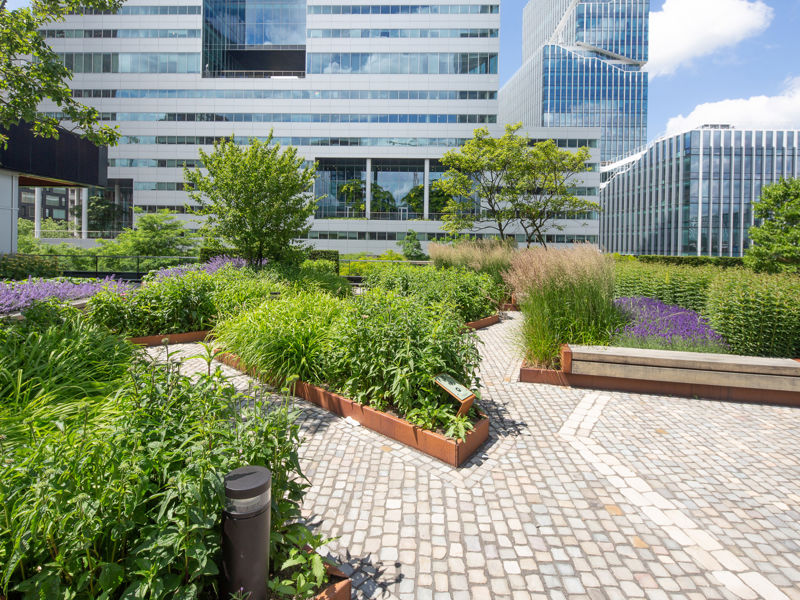 Circl ABN AMRO Amsterdam (17)